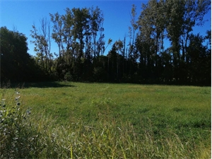 terrain a batir à la vente -   13310  SAINT MARTIN DE CRAU, surface 675 m2 vente terrain a batir - UBI482804327